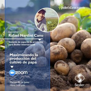 Cultivo de papa