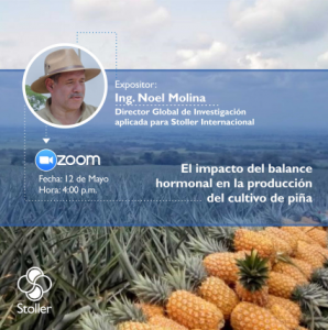 Zoom Piña